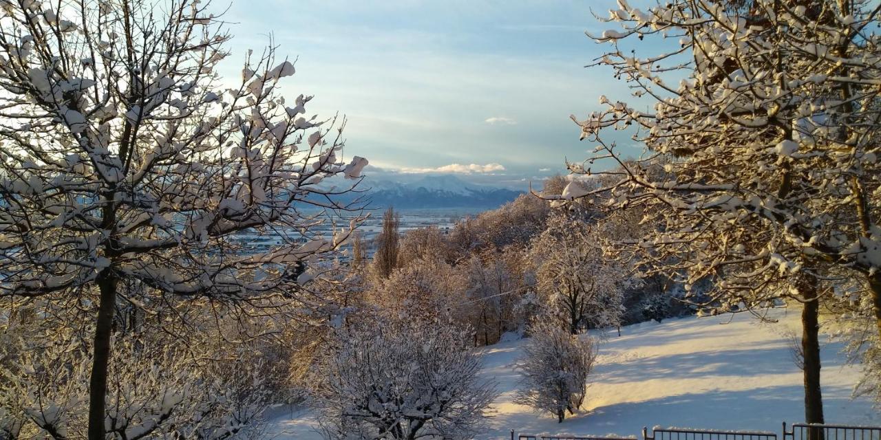 L'Albore Costigliole Saluzzo Exteriör bild