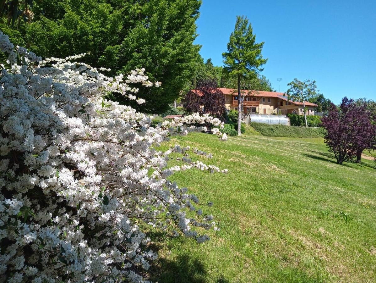 L'Albore Costigliole Saluzzo Exteriör bild